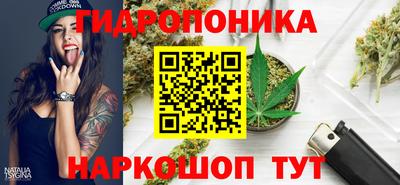 крисы Кунгур